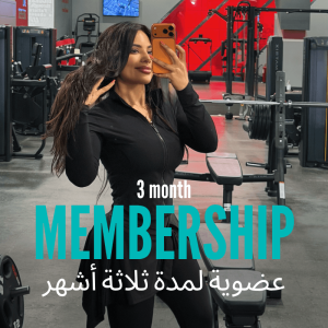 3 Months BBR Membership [BBR 43 + next 2 plans]